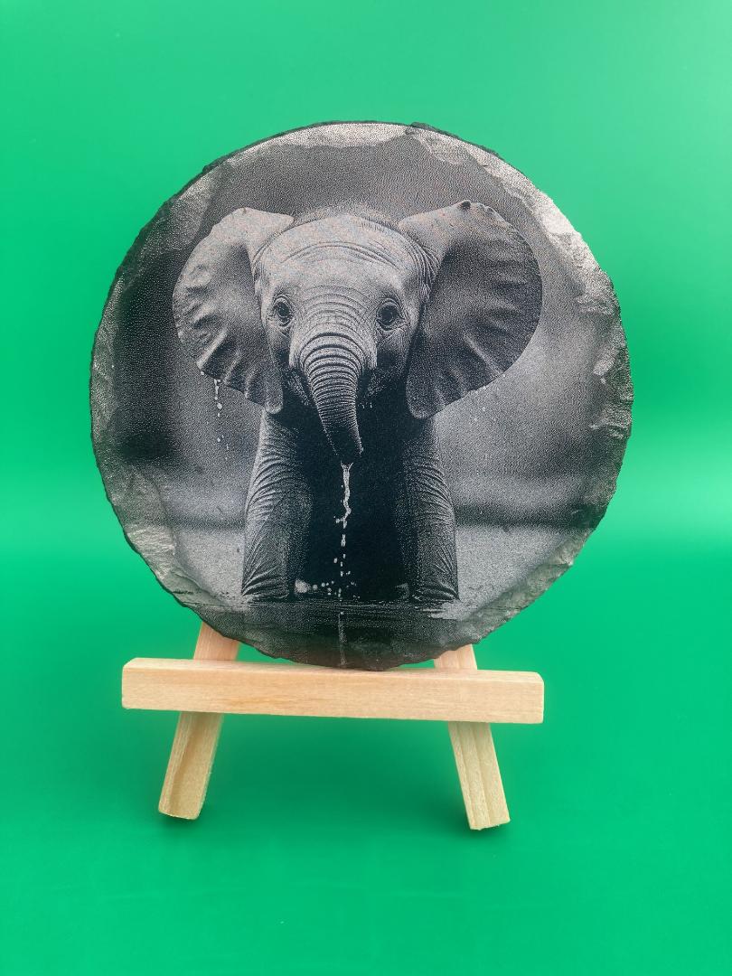 Elephant Calf Slate Coaster – Natural Slate • Enhanced Detail Finish