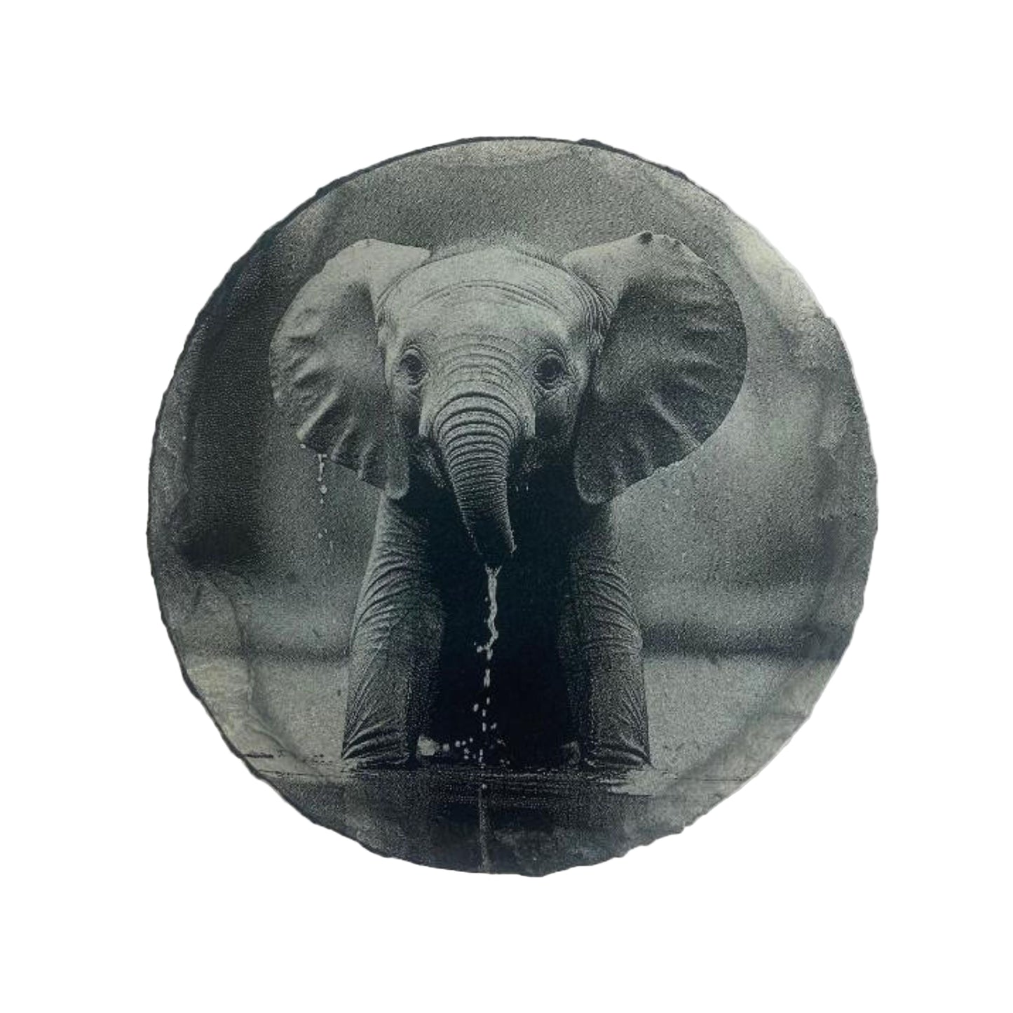 Elephant Calf Slate Coaster – Natural Slate • Enhanced Detail Finish